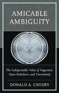 bokomslag Amicable Ambiguity