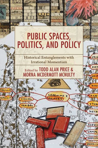 Morna McDermott McNulty, Todd Alan Price - Public Spaces, Politics, and Policy, Inbunden