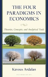 bokomslag Four Paradigms in Economics