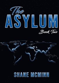 bokomslag The Asylum book 2