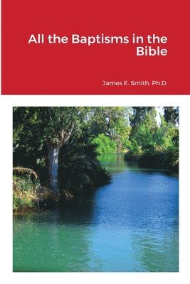 James E Smith - All the Baptisms in the Bible, Häftad