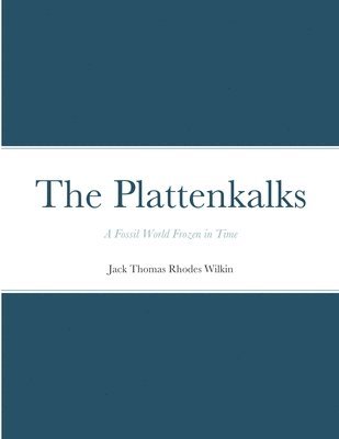 bokomslag The Plattenkalks