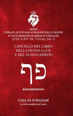 Carmine Davide Delle Donne - RIEDIFICAZIONE RIUNIFICAZIONE RESURREZIONE-17 - Phe, Inbunden