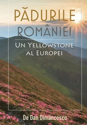 bokomslag P&#258;DURILE ROMNIEI - Un Yellowstone al Europei