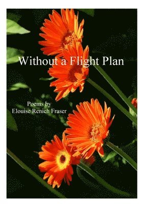 Without a Flight Plan 1