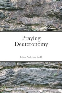 bokomslag Praying Deuteronomy
