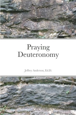 bokomslag Praying Deuteronomy
