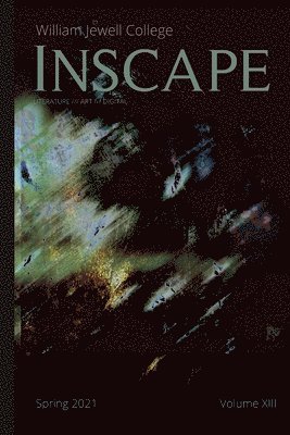 bokomslag Inscape XIII