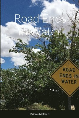 Road Ends in Water 1