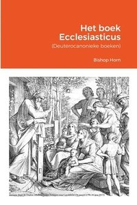 bokomslag Het boek Ecclesiasticus