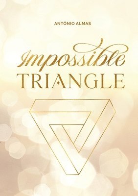 bokomslag Impossible triangle