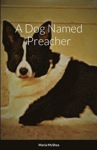 bokomslag A Dog Named Preacher