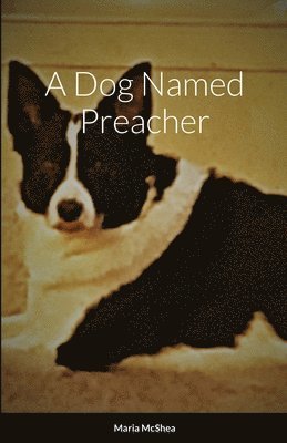A Dog Named Preacher 1