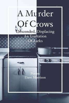 Dave Morrison - Murder of Crows Descended, Displacing an Exultation of Larks, Häftad