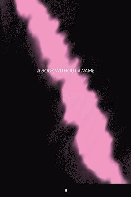 bokomslag Book Without a Name