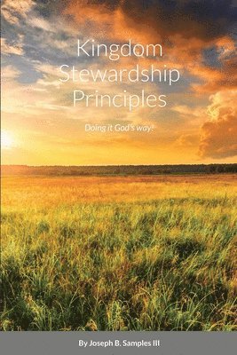 bokomslag Kingdom Stewardship Principles - Doing it God's way!