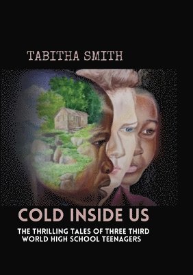 Tabitha Smith - Cold Inside Us, Häftad