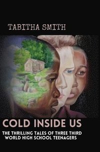 bokomslag Cold Inside Us