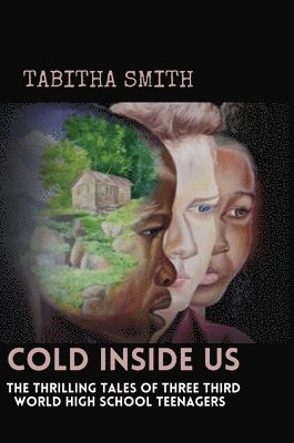 bokomslag Cold Inside Us