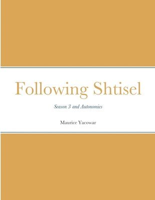 bokomslag Following Shtisel