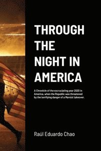 bokomslag Through the Night in America