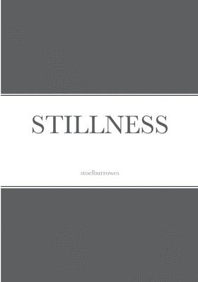 bokomslag Stillness