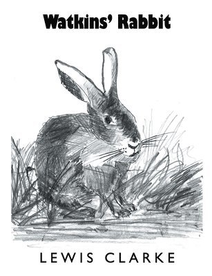 Watkins' Rabbit 1