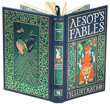 bokomslag Aesop's Fables Illustrated