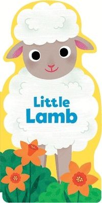 bokomslag Little Lamb