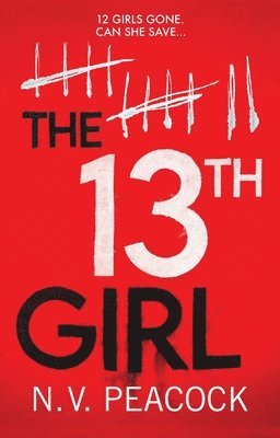 The 13th Girl 1