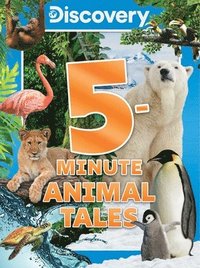 bokomslag Discovery 5-Minute Animal Tales