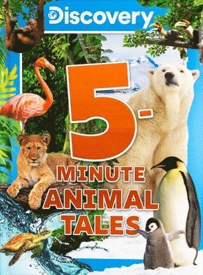 bokomslag Discovery 5-Minute Animal Tales