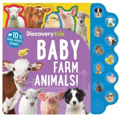 Editors of Silver Dolphin Books - Discovery Kids: Baby Farm Animals!, Kartonnage