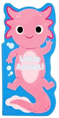 Maggie Fischer - Little Axolotl, Kartonnage