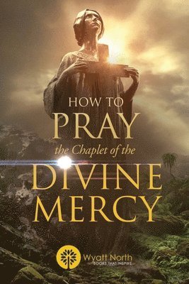 bokomslag How to Pray the Chaplet of the Divine Mercy