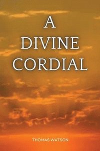 bokomslag Divine Cordial
