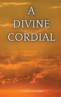 bokomslag Divine Cordial