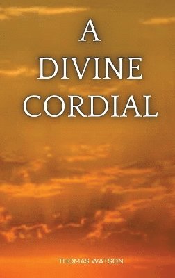bokomslag Divine Cordial