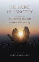 bokomslag The Secret of Sanctity