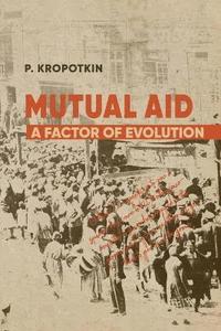 bokomslag Mutual Aid