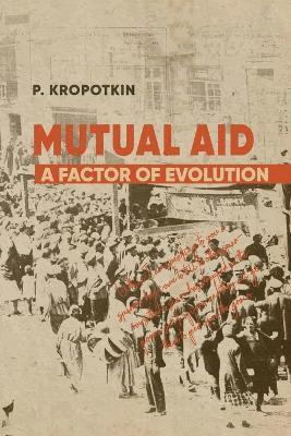 bokomslag Mutual Aid