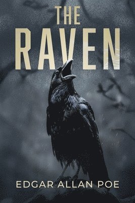 Edgar Allan Poe, Pocketsize Publishing - Raven, Häftad