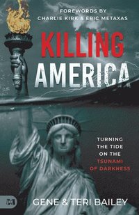 bokomslag Killing America