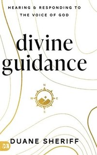 bokomslag Divine Guidance