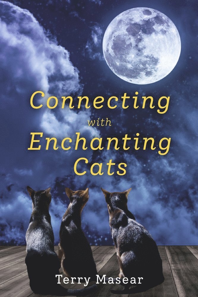Terry Masear - Connecting with Enchanting Cats, Häftad