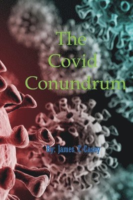 bokomslag Covid Conundrum