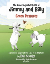 bokomslag The Amazing Adventures of Jimmy and Billy