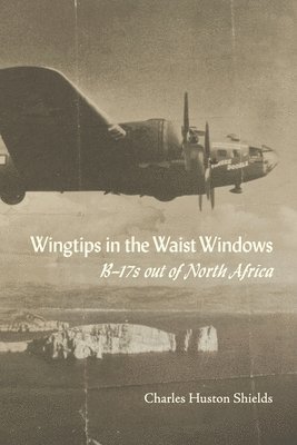 bokomslag Wingtips in the Waist Windows: B-17s Out of North Africa