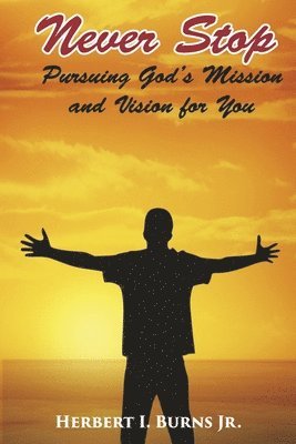 Never Stop-Pursuing God's Mission and Vision for You: Volume 3 1