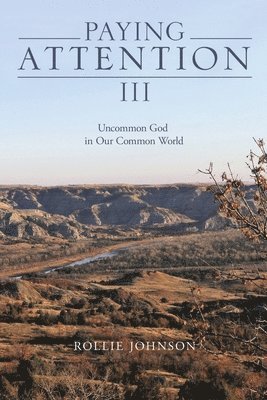 bokomslag Paying Attention III: Uncommon God in Our Common World Volume 3